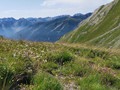 IMG_20190801_111137