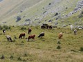 IMG_20190801_175037