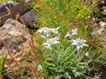 IMG_20190801_175141