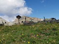 IMG_20190802_110903