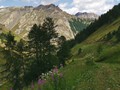 IMG_20190802_121427