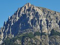 IMG_20190803_092201