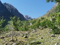 IMG_20190803_110537