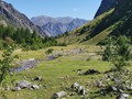IMG_20190803_110550