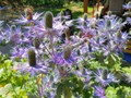 IMG_20190803_123218