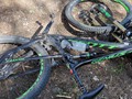 IMG_20190803_143932