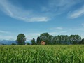 IMG_20190728_115142