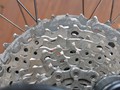 IMG_20190728_165339