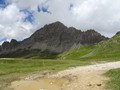 DSC01917