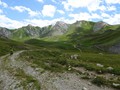 DSC01974